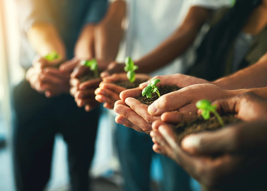 IT Managed Service Provider (MSP): Why Growing Businesses Are Turning to Remote IT Providers